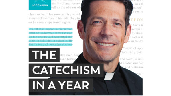 A promotional image for 'The Catechism in A Year' with Fr. Mike Schmitz. The image includes a headshot of Fr. Mike Schmitz and the Ascension Press logo, overlayed on stylized text from the Catechism of the Catholic Church.